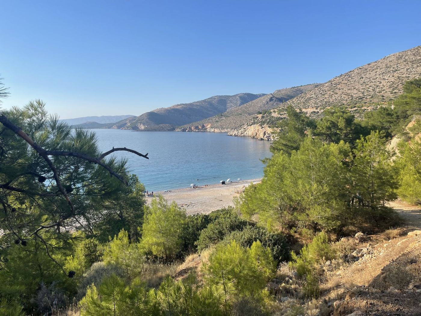 Long bay seen through pine trees